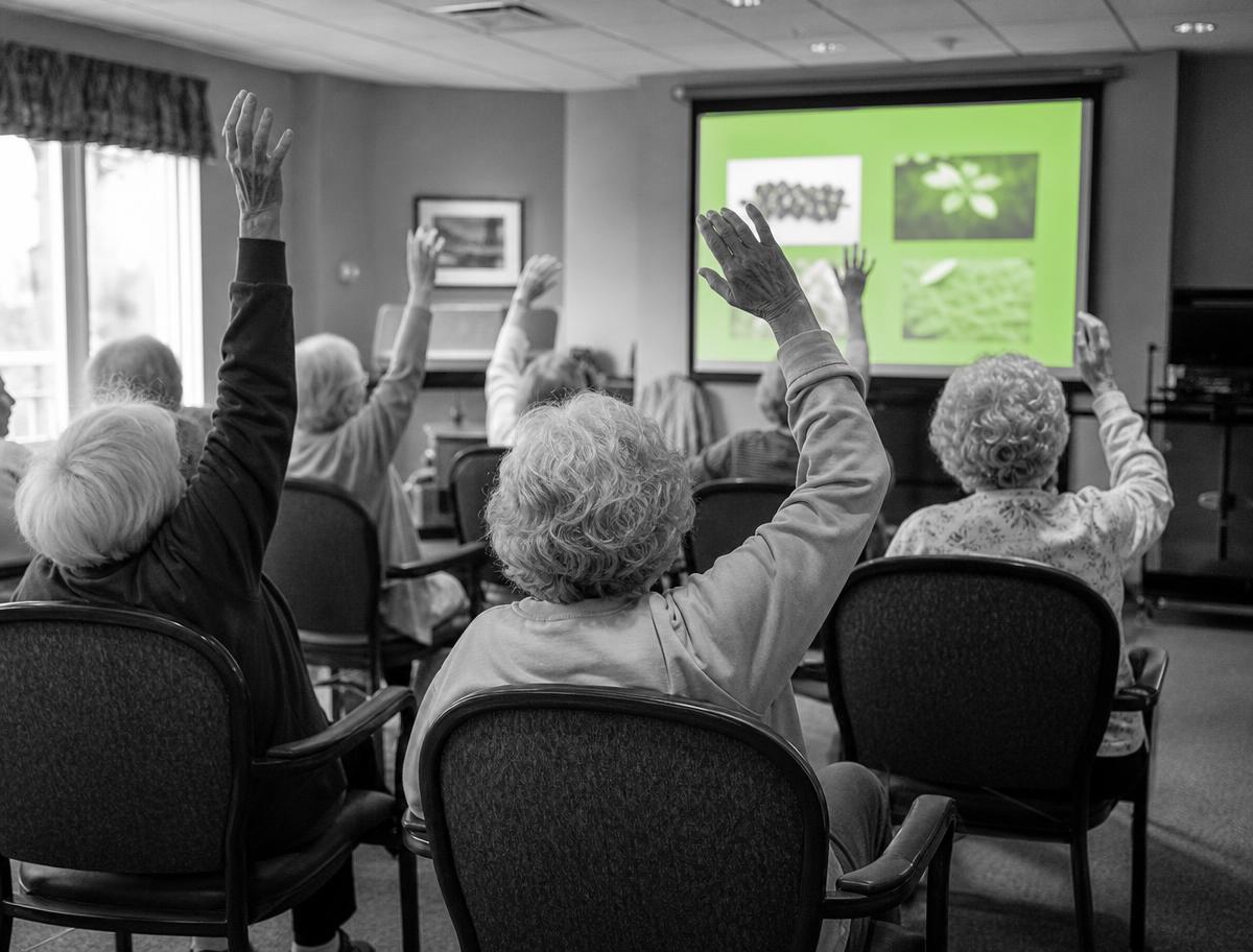 Brain Boost senior program